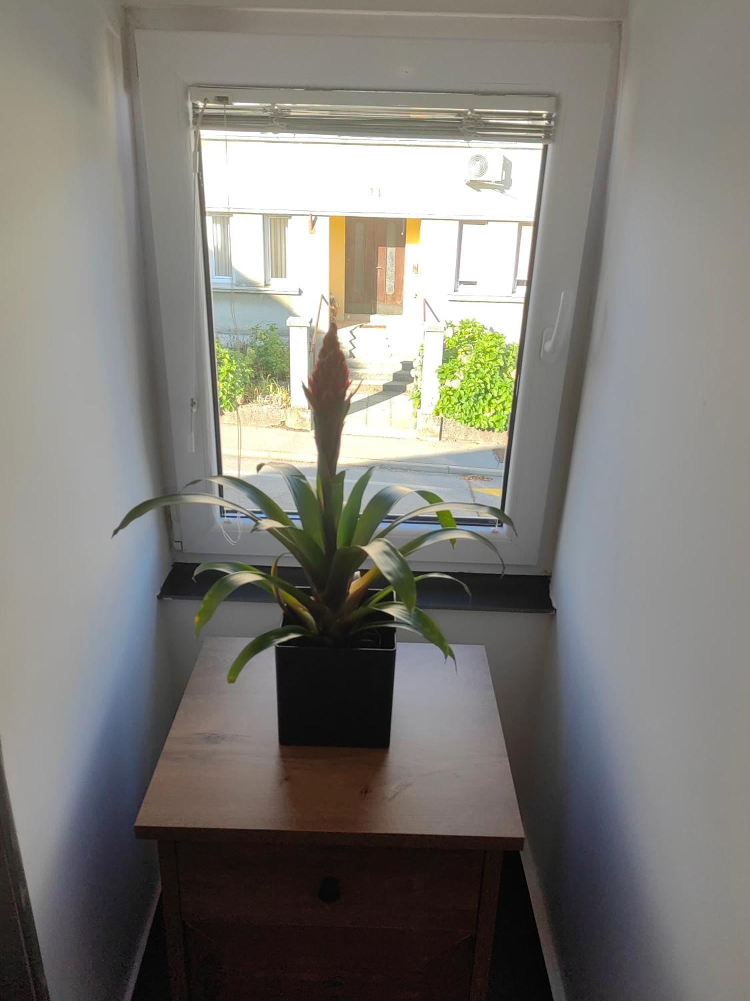 Sana Apartamento Postojna Exterior foto